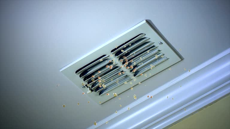 Best Air Vent Cleaning Services  in Mullins, SC