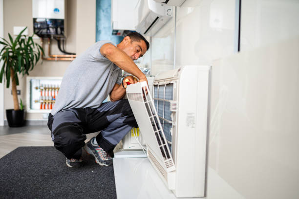 Best Air Duct Mold Removal  in Mullins, SC